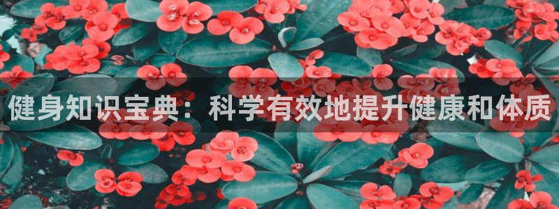 yq球友会app下载