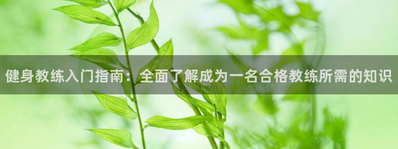 球友会·(QY)官方网站